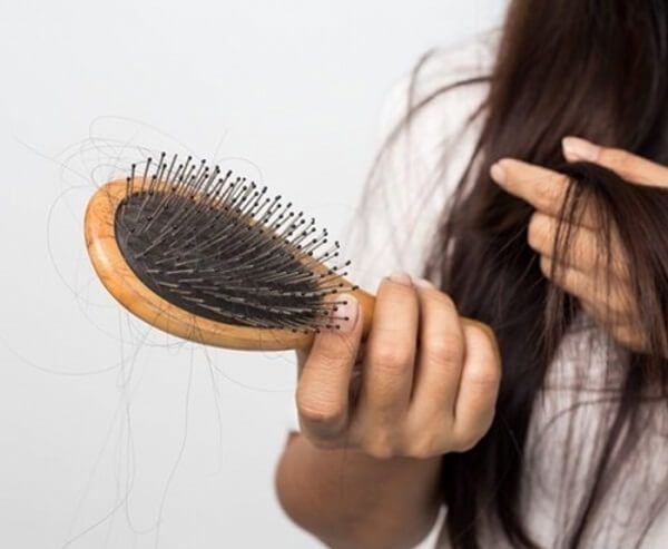 Tinh dầu tràm giúp ngăn chặn rụng tóc