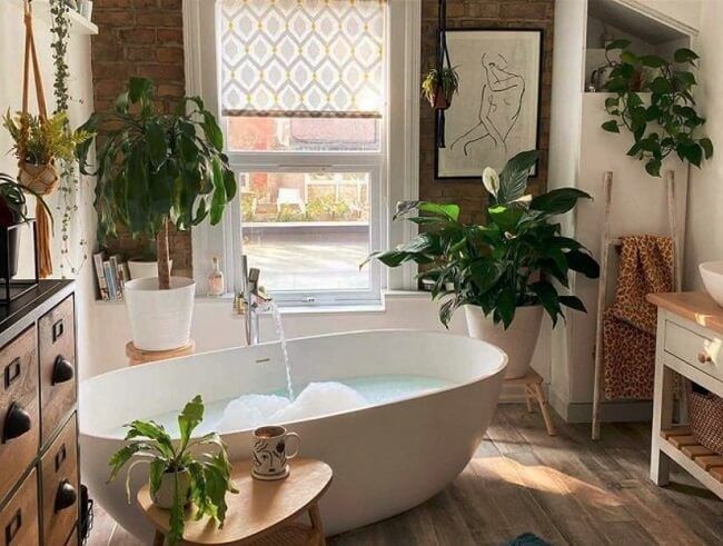 TOP 10 mẫu trang trí phòng tắm với cây xanh cực đẹp