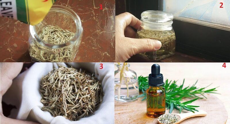 Cách làm tinh dầu hương thảo từ hương thảo khô